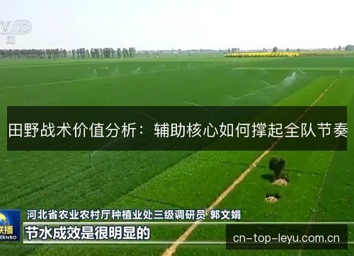 田野战术价值分析：辅助核心如何撑起全队节奏